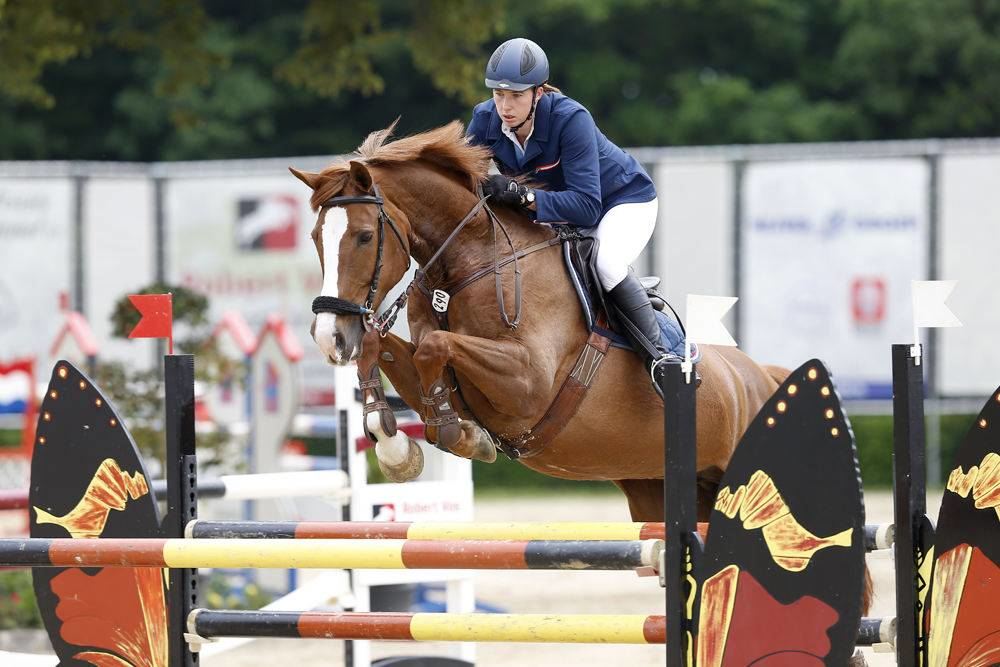 Sport Horses for Sale | Quality Horses - Peter Berkers Sporthorses