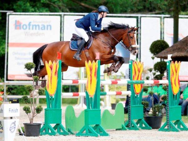 Equestrian Japan show jumping sales - Peter Berkers Sporthorses