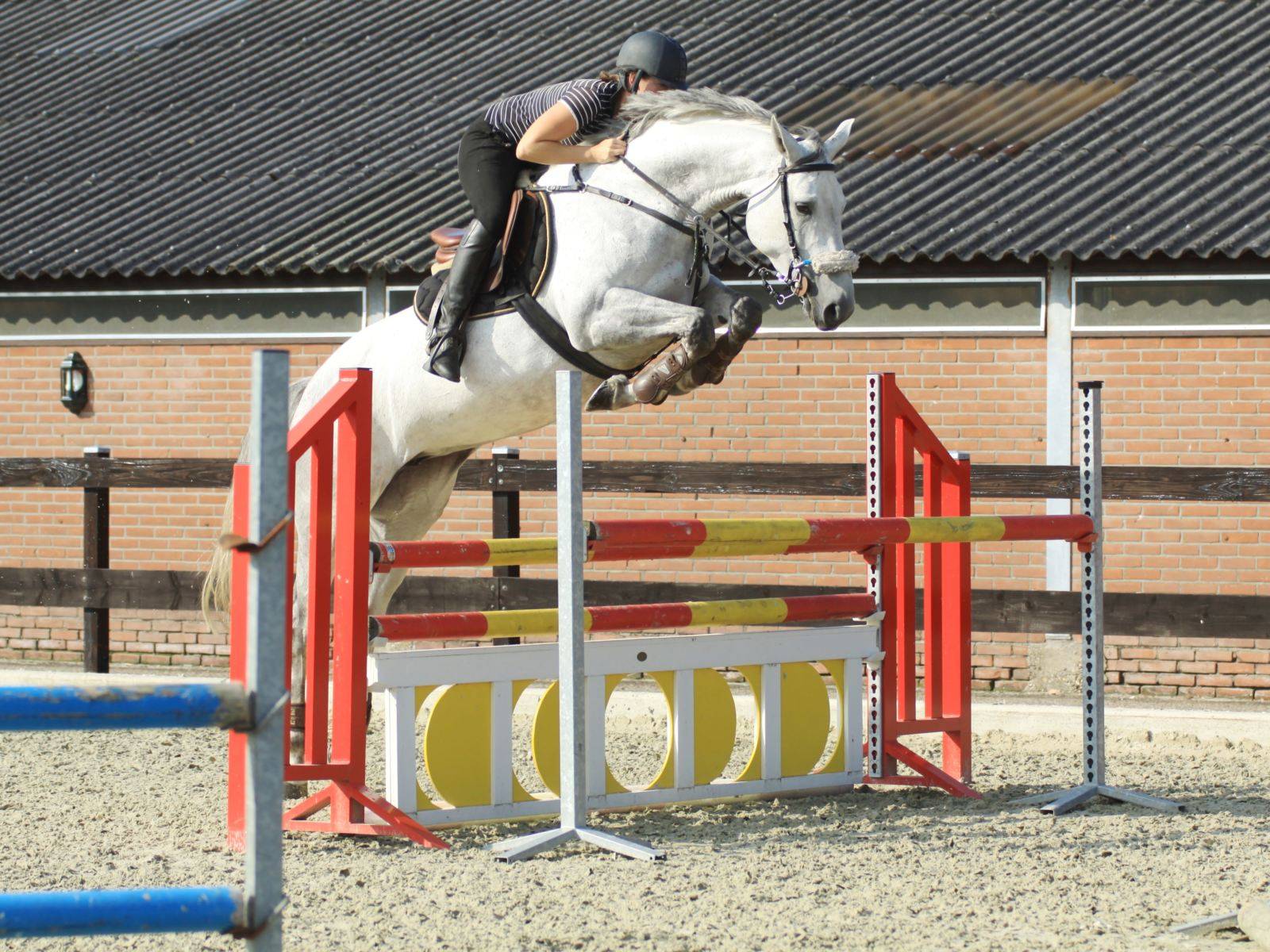 Factory Clearance Pair of Equestrian Jumps 