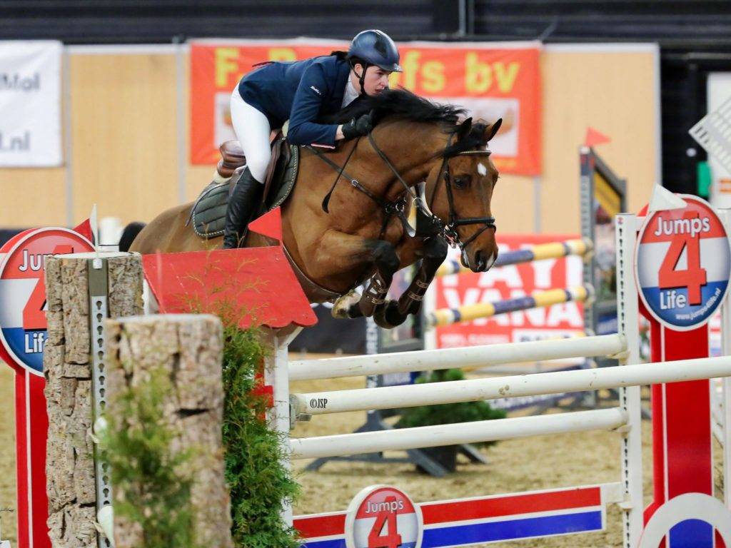Ben Show Jumping Gelding Californa Arizona Peter Berkers Sporthorses